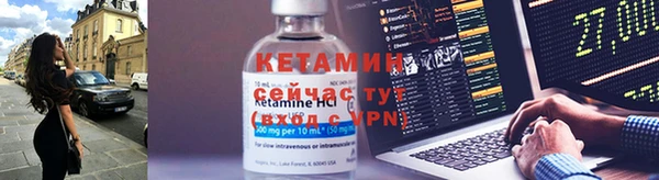 трава Балахна