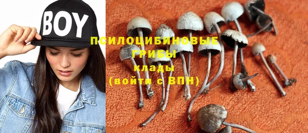 трава Балахна